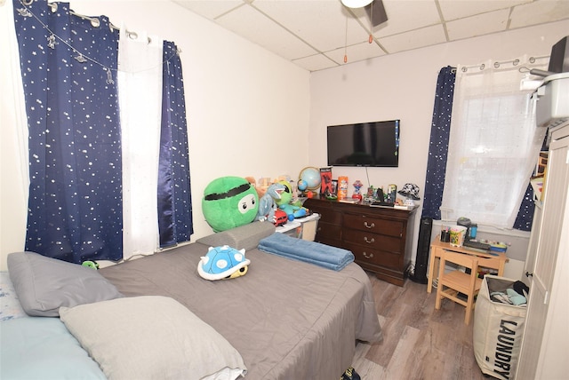 bedroom featuring ceiling fan, light hardwood / wood-style flooring, and a drop ceiling