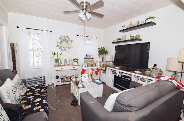 living room with ceiling fan, crown molding, and dark wood-type flooring