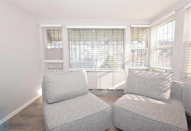 sitting room with wood-type flooring