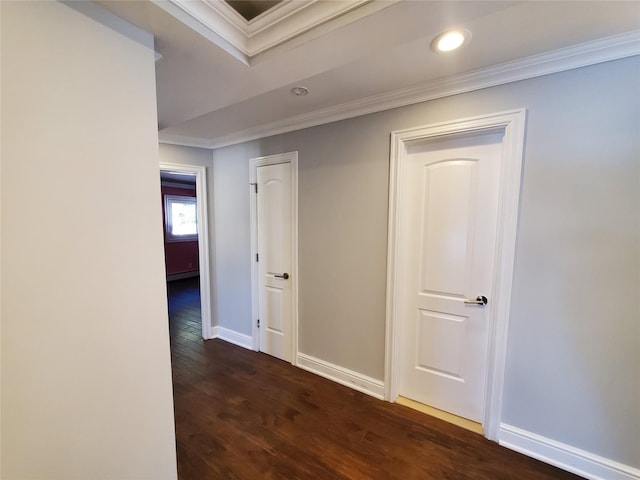 hallway featuring dark hardwood / wood-style flooring and ornamental molding