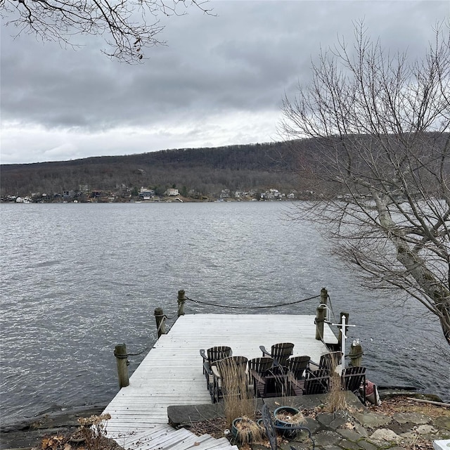 dock area featuring a water view