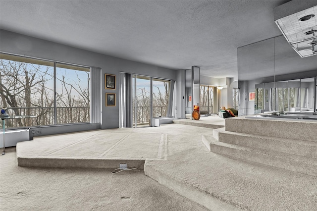 bedroom with access to exterior, carpet, and a textured ceiling