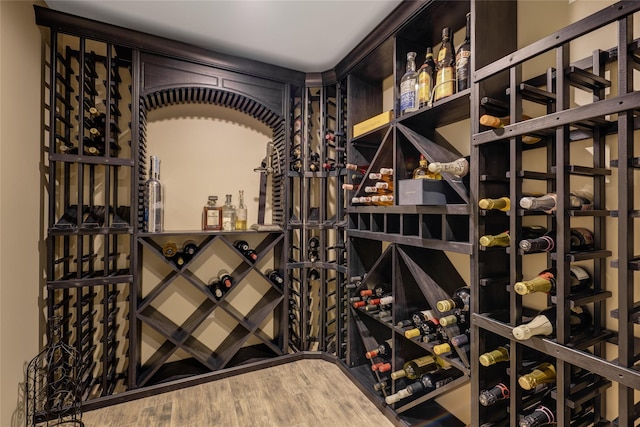 wine room with wood-type flooring