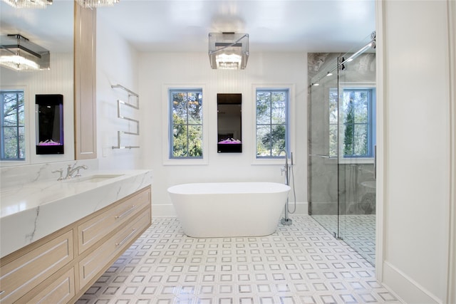 bathroom with vanity and separate shower and tub