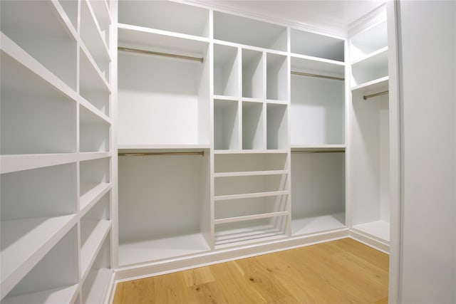 walk in closet featuring wood-type flooring