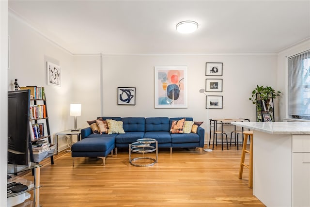 living room featuring ornamental molding and light wood-type flooring