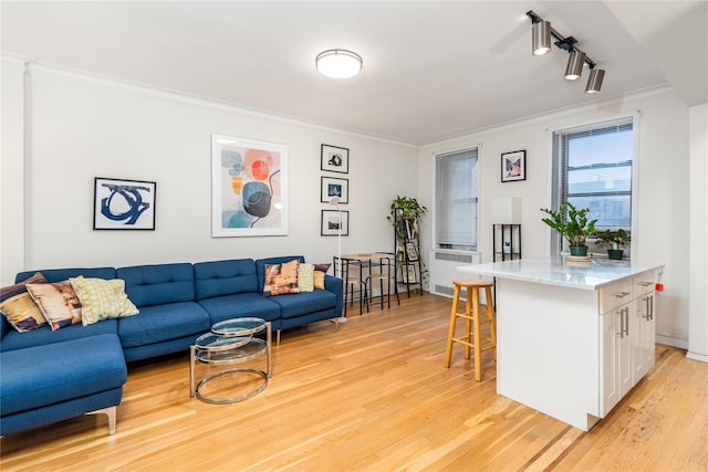 living room with radiator heating unit, light wood-type flooring, track lighting, and ornamental molding