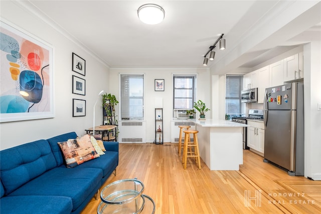 kitchen featuring white cabinets, appliances with stainless steel finishes, a kitchen island, and radiator