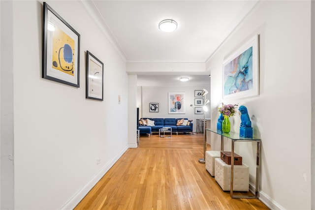 corridor featuring hardwood / wood-style floors and ornamental molding