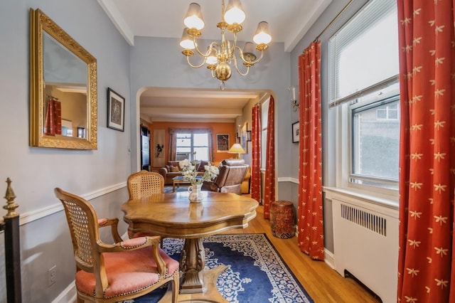 dining area with hardwood / wood-style flooring, an inviting chandelier, and radiator