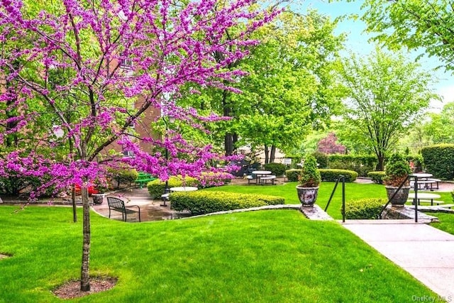 view of home's community with a lawn