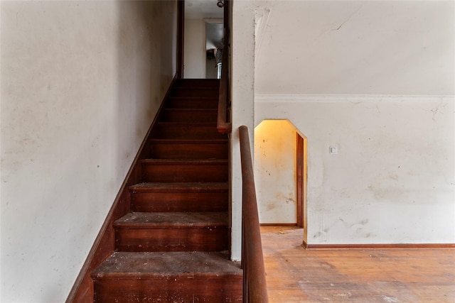 stairs featuring hardwood / wood-style flooring