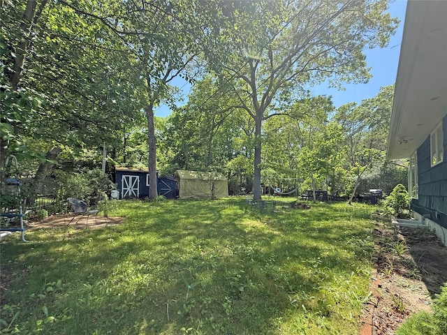 33 Birch Ct, Riverhead, NY 11901 - view of green lawn