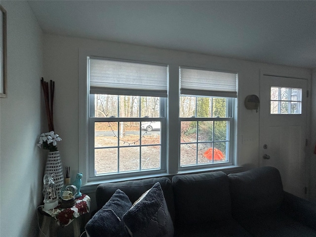 living room featuring a wealth of natural light