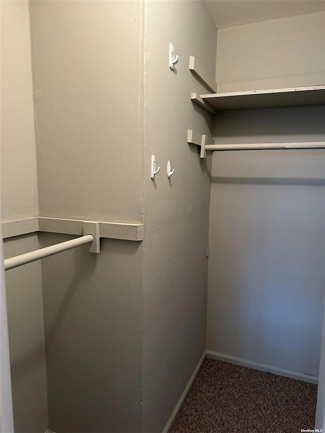 walk in closet featuring carpet floors