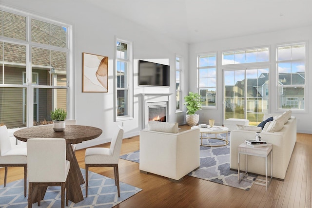 living room with hardwood / wood-style floors