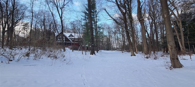 view of snowy yard