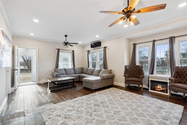 living room featuring ceiling fan, dark hardwood / wood-style floors, and crown molding