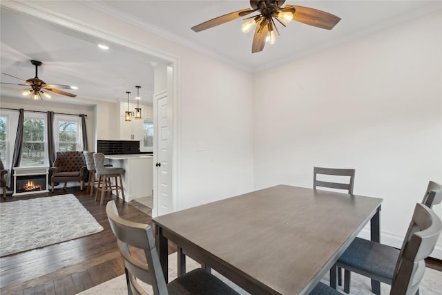 dining room with ceiling fan, ornamental molding, and dark wood-type flooring