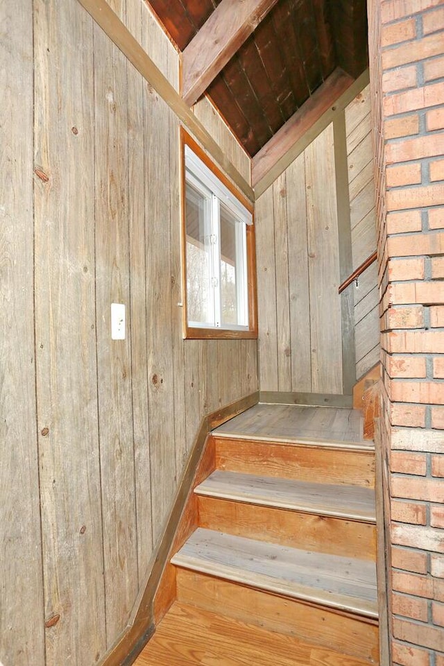 stairs featuring wooden walls