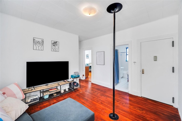 living room with wood-type flooring