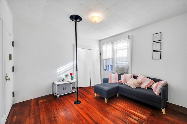 living room featuring wood-type flooring