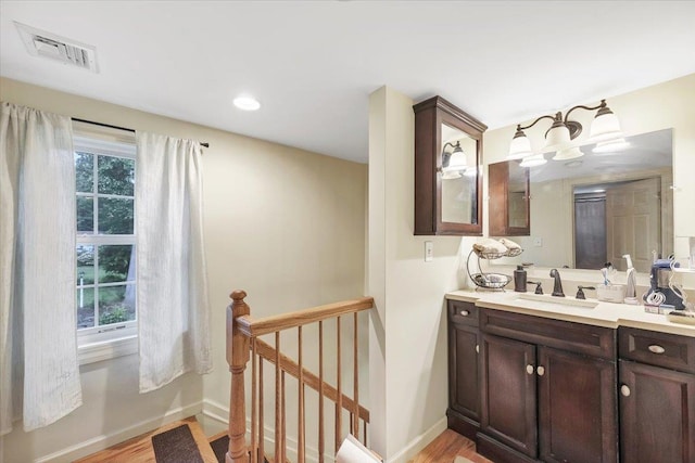 bathroom with wood-type flooring, vanity, and a wealth of natural light