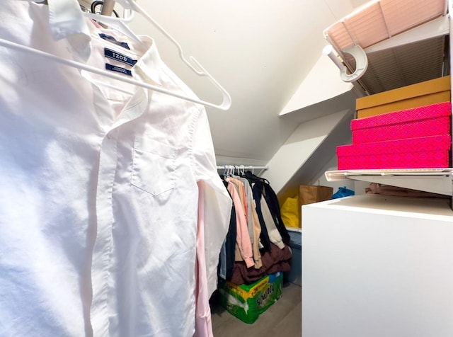 view of walk in closet