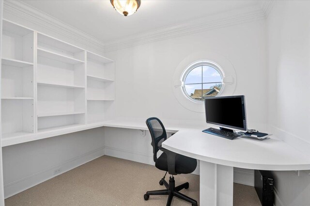 office space featuring crown molding