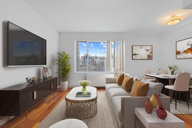 living room featuring light hardwood / wood-style floors