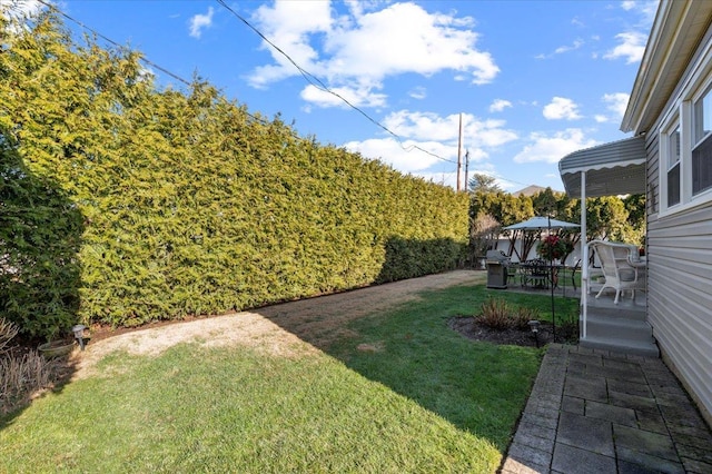 view of yard featuring a patio