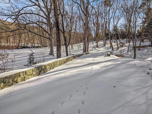 view of yard covered in snow