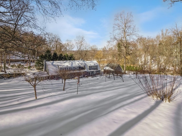 view of snowy yard