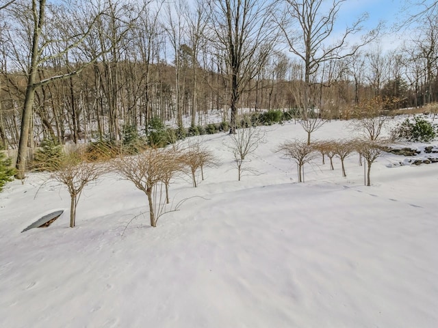 view of yard layered in snow