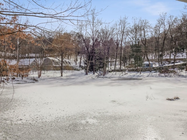 view of snowy yard