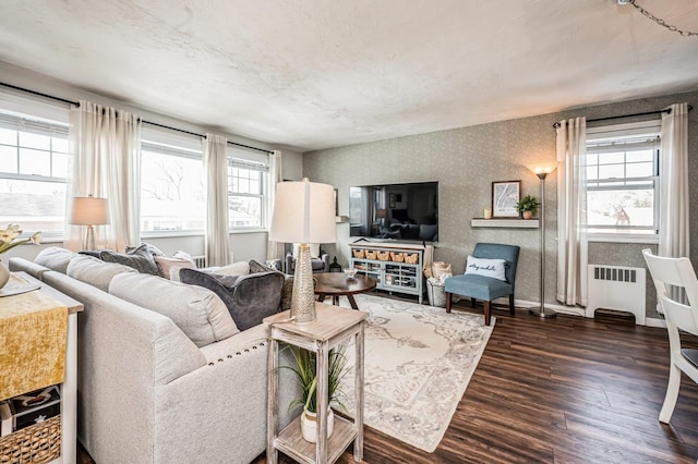 living room with dark wood-type flooring and radiator