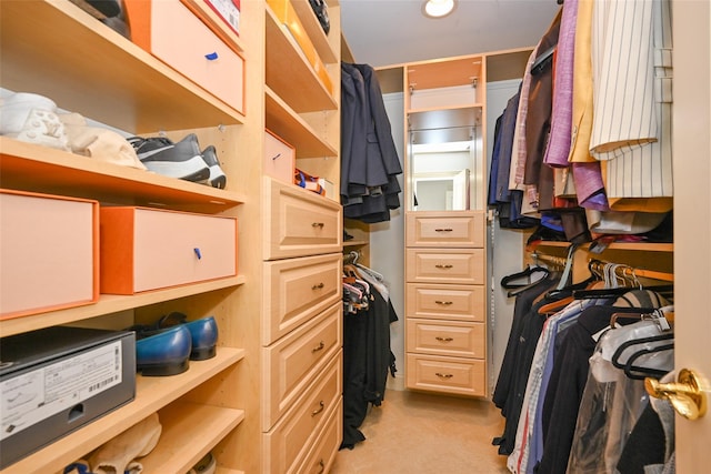 spacious closet featuring light carpet