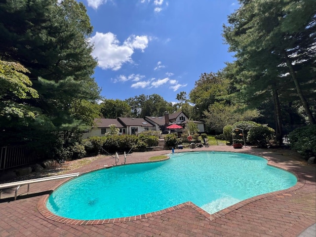 view of swimming pool featuring a diving board and a patio area