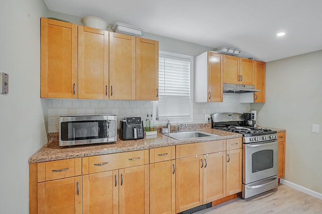 kitchen with backsplash, light hardwood / wood-style floors, sink, and stainless steel appliances