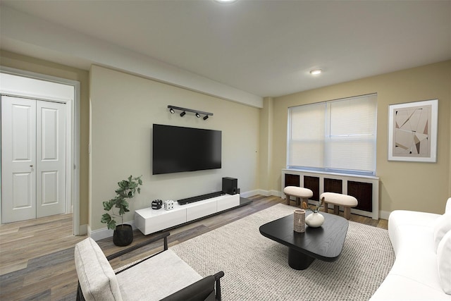 living room with hardwood / wood-style flooring