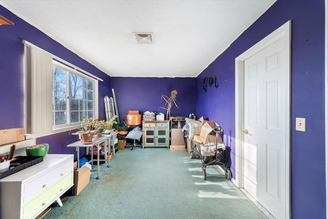202 Essex Ct, Brewster, NY 10509 - interior space with carpet flooring and a textured ceiling