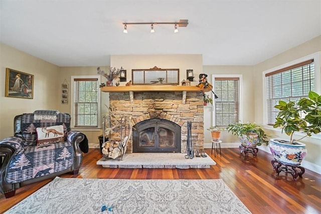 living room featuring a stone fireplace and wood-type flooring