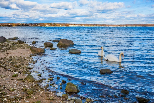 property view of water