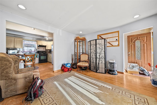 living room featuring sink and light wood-type flooring