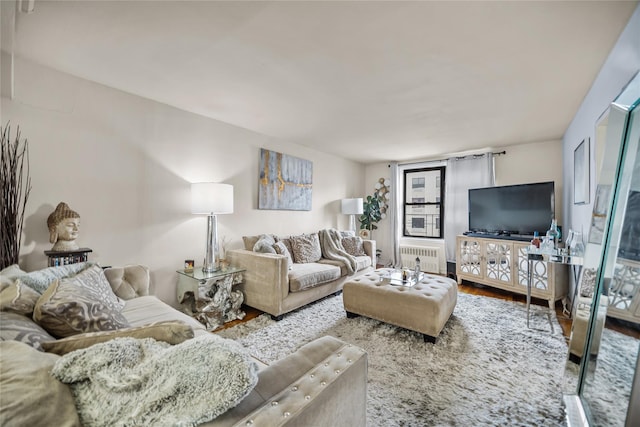 living room featuring wood-type flooring and radiator heating unit