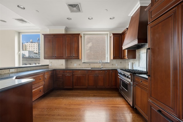 kitchen with decorative backsplash, premium range hood, high end stainless steel range oven, sink, and light hardwood / wood-style floors