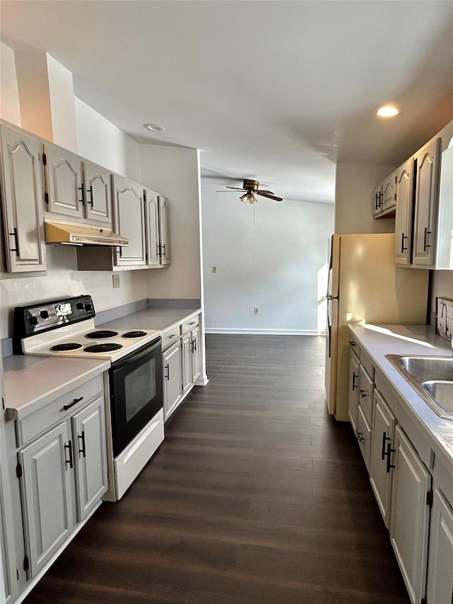 kitchen featuring dark hardwood / wood-style flooring, white appliances, ceiling fan, and sink