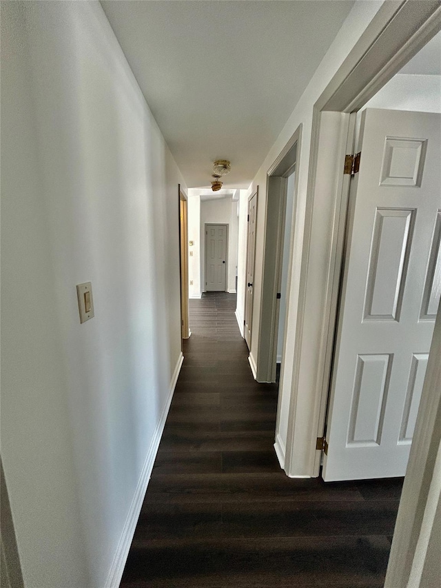 hallway with dark wood-type flooring