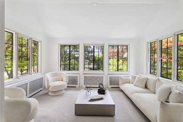 109 Argyll Ave, New Rochelle, NY 10804 - carpeted living area featuring radiator and high vaulted ceiling