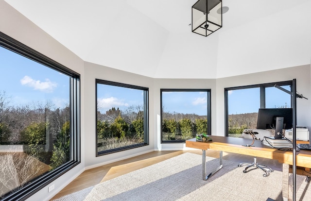 home office featuring light hardwood / wood-style floors and plenty of natural light